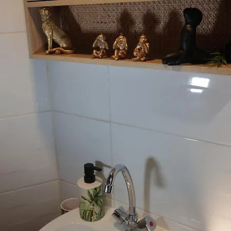 Dynasty Jungle Jacuzzi Appartement Holtzheim