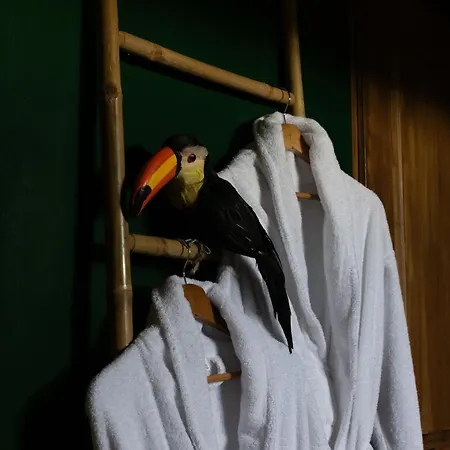 Dynasty Jungle Jacuzzi Appartement *