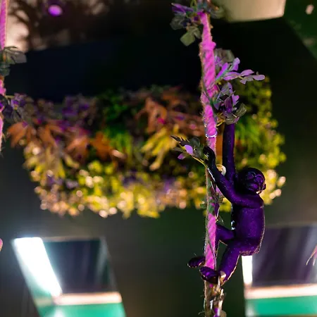 Appartement Dynasty Jungle Jacuzzi *