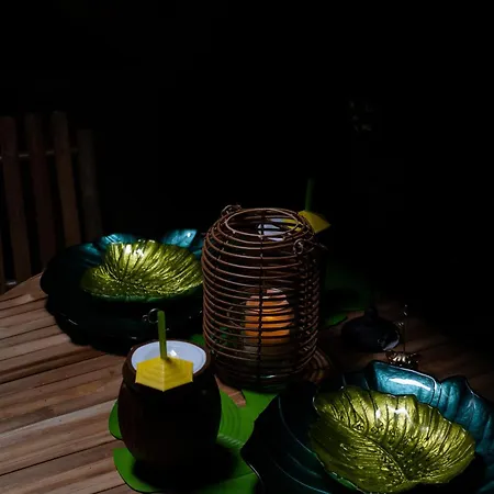 Dynasty Jungle Jacuzzi Appartement