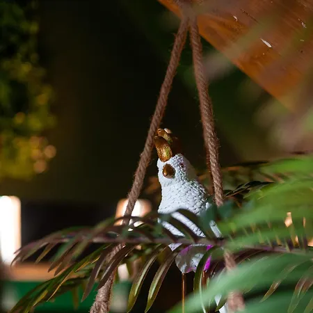 Dynasty Jungle Jacuzzi Lejlighed *