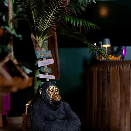 Appartement Dynasty Jungle Jacuzzi Holtzheim